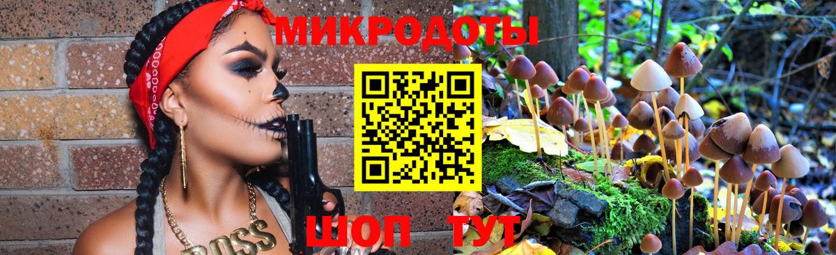Псилоцибиновые грибы Cubensis  Псилоцибиновые грибы мицелий  цена   Сафоново  Вход с VPN 